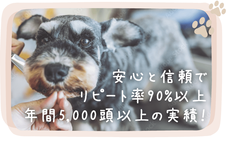 安心と信頼でリピート率90%以上　年間5,000頭以上の実績！