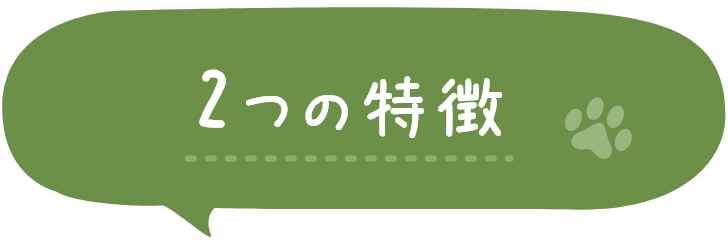 2つの特徴