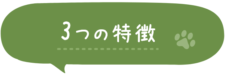 3つの特徴